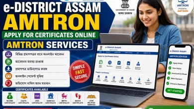 e district assam amtron