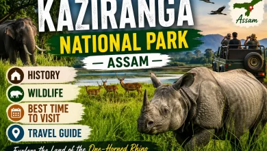 Kaziranga National Park