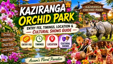 Kaziranga Orchid Park